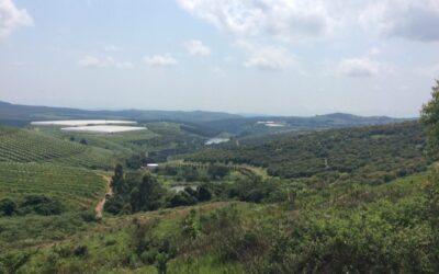 What is life like on a mission?